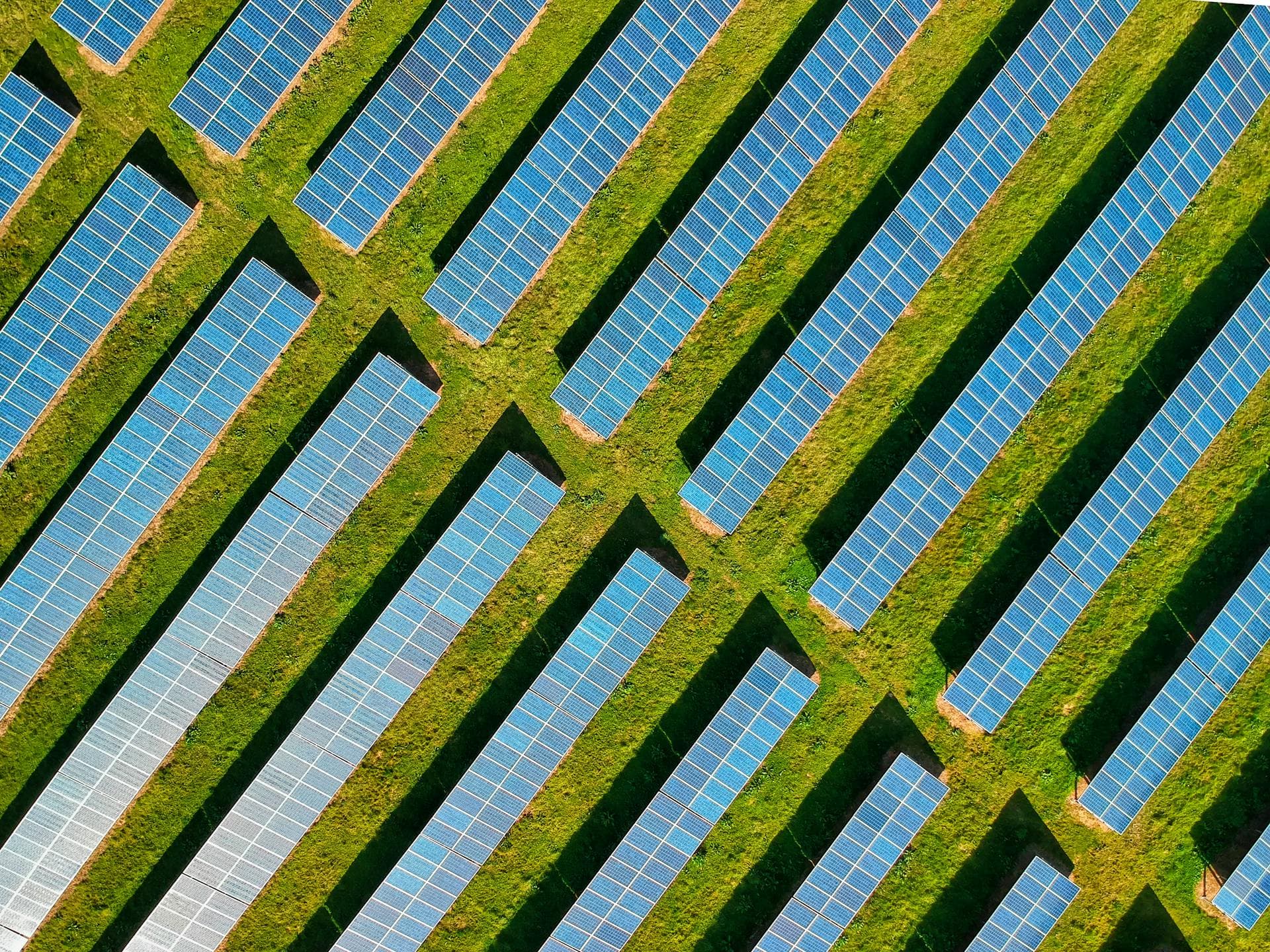 Solar Panels on a Farm